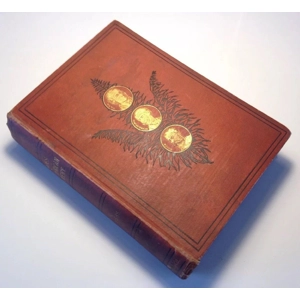 Heroes Of North African Discovery, 1877 Rare Antique Book, Africa Fold Out Map