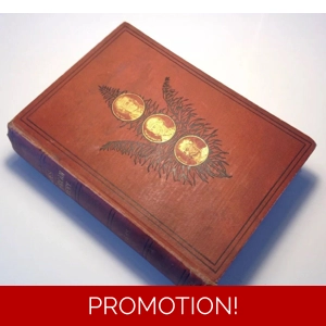 Heroes Of North African Discovery, 1877 Rare Antique Book, Africa Fold Out Map