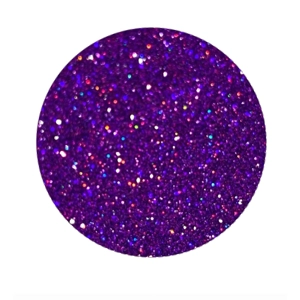 Regal Voilet holographic glitter 10g pouch