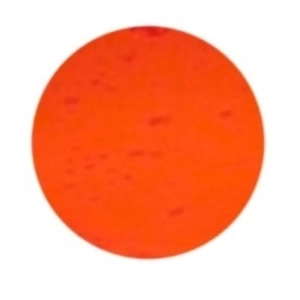 Marmalade Neon Pigment