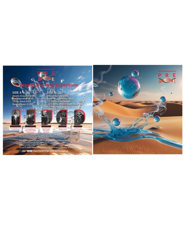 PRE-PROGRESSIVE ROCK EXPERIENCE (Black vinyl)