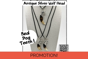 Real Dog Tooth Wolf Pendant ..