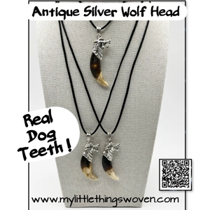 Real Dog Tooth Wolf Pendant & Necklace 20