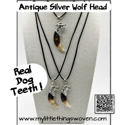 Real Dog Tooth Wolf Pendant & Necklace 20" Long Antique Silver