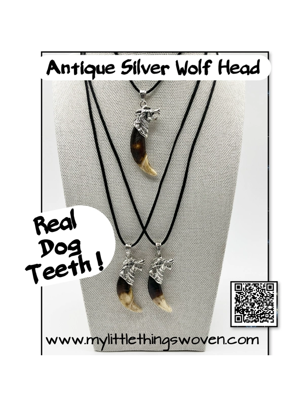 Real Dog Tooth Wolf Pendant & Necklace 20" Long Antique Silver