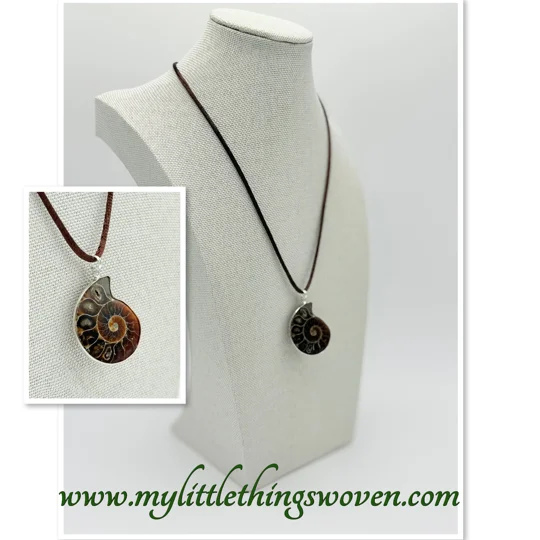 Ammonite Fossil Stone Pendant and Necklace, 18" long Brown Cord