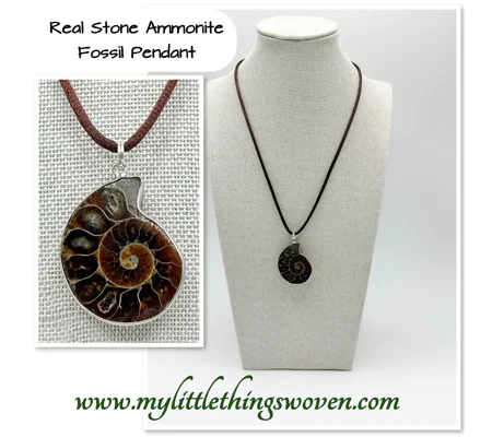 Ammonite Fossil Stone Pendant and Necklace, 18" long Brown Cord