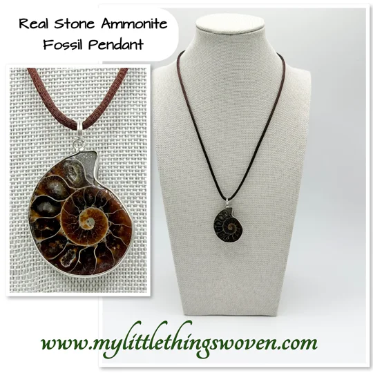 Ammonite Fossil Stone Pendant and Necklace, 18" long Brown Cord