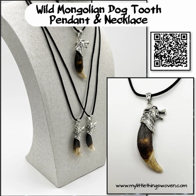 Real Dog Tooth Wolf Pendant & Necklace 20" Long Antique Silver