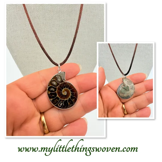 Ammonite Fossil Stone Pendant and Necklace, 18" long Brown Cord