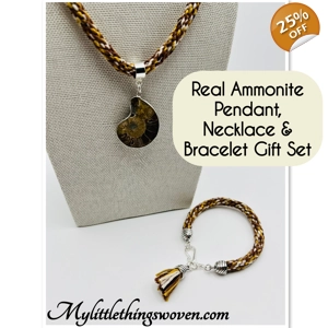 Brown Ammonite Fossil N..