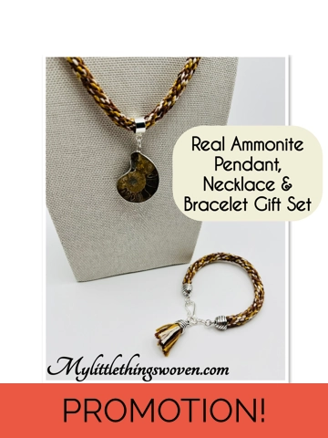 Brown Ammonite Fossil N..