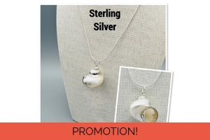 White Pearl Turbo Shell Pend..