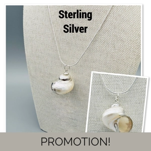 White Pearl Turbo Shell Pend..