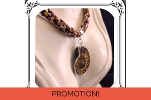 Ammonite necklace on br..