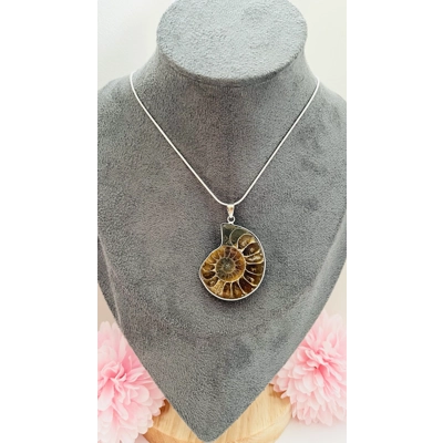 Real Ammonite Stone Fossil Necklace & Pendant, Stirling Silver & Silver Plating. Real Ammonite Stone Fossil Necklace & Pendant, Stirling Silver & Silver Plating.