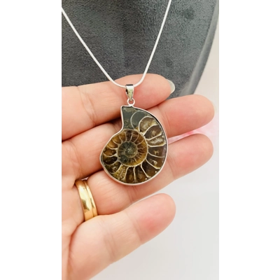 Real Ammonite Stone Fossil Necklace & Pendant, Stirling Silver & Silver Plating. Real Ammonite Stone Fossil Necklace & Pendant, Stirling Silver & Silver Plating.