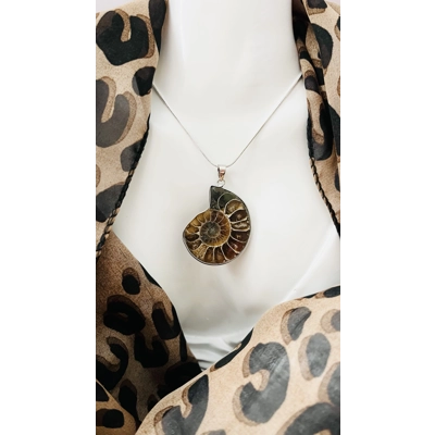 Real Ammonite Stone Fossil Necklace & Pendant, Stirling Silver & Silver Plating. Real Ammonite Stone Fossil Necklace & Pendant, Stirling Silver & Silver Plating.