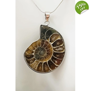 Real Ammonite Stone Fos..