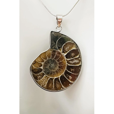 Real Ammonite Stone Fossil Necklace & Pendant, Stirling Silver & Silver Plating.