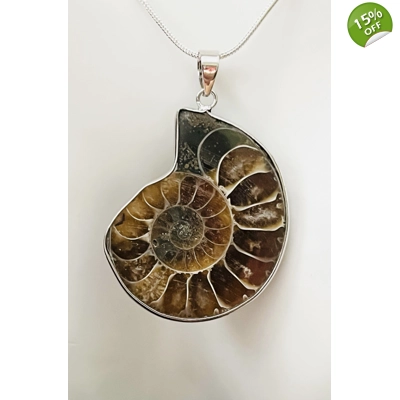 Real Ammonite Stone Fossil Necklace & Pendant, Stirling Silver & Silver Plating.