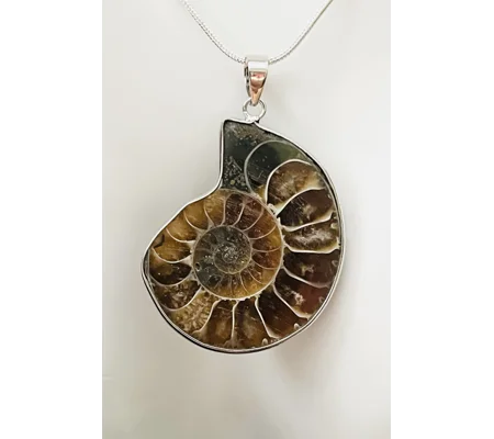 Real Ammonite Stone Fossil Necklace & Pendant, Stirling Silver & Silver Plating.