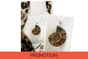 Real Ammonite Stone Fos..