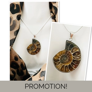 Real Ammonite Stone Fossil N..