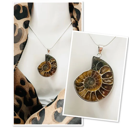 Real Ammonite Stone Fossil Necklace & Pendant, Stirling Silver & Silver Plating.