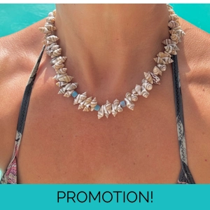 White Shell Jewelry