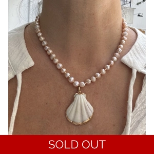 Freshwater pearls and Shell Necklace