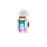 Round rainbow charm