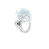Ariel ring