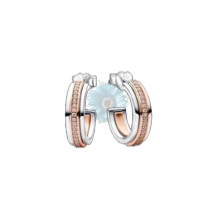 Two-toned hoop earrings Two-toned hoop earrings