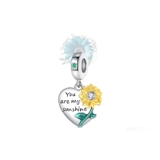 You are my sunshine charm