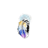 Coloured feather charm
