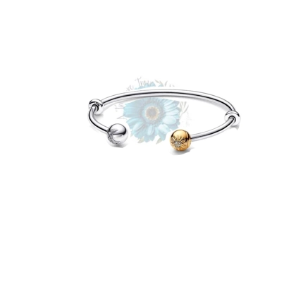 Moon and star open charm bangle