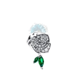 Sparkling rose in bloom charm