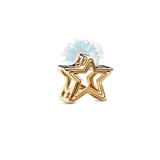 Gold Outline star charm
