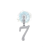 Number 7 charm