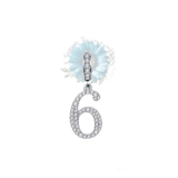 Number 6 charm