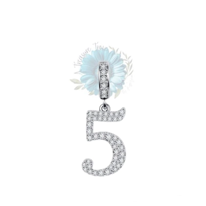 Number 5 charm Number 5 charm