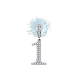 Number 1 charm
