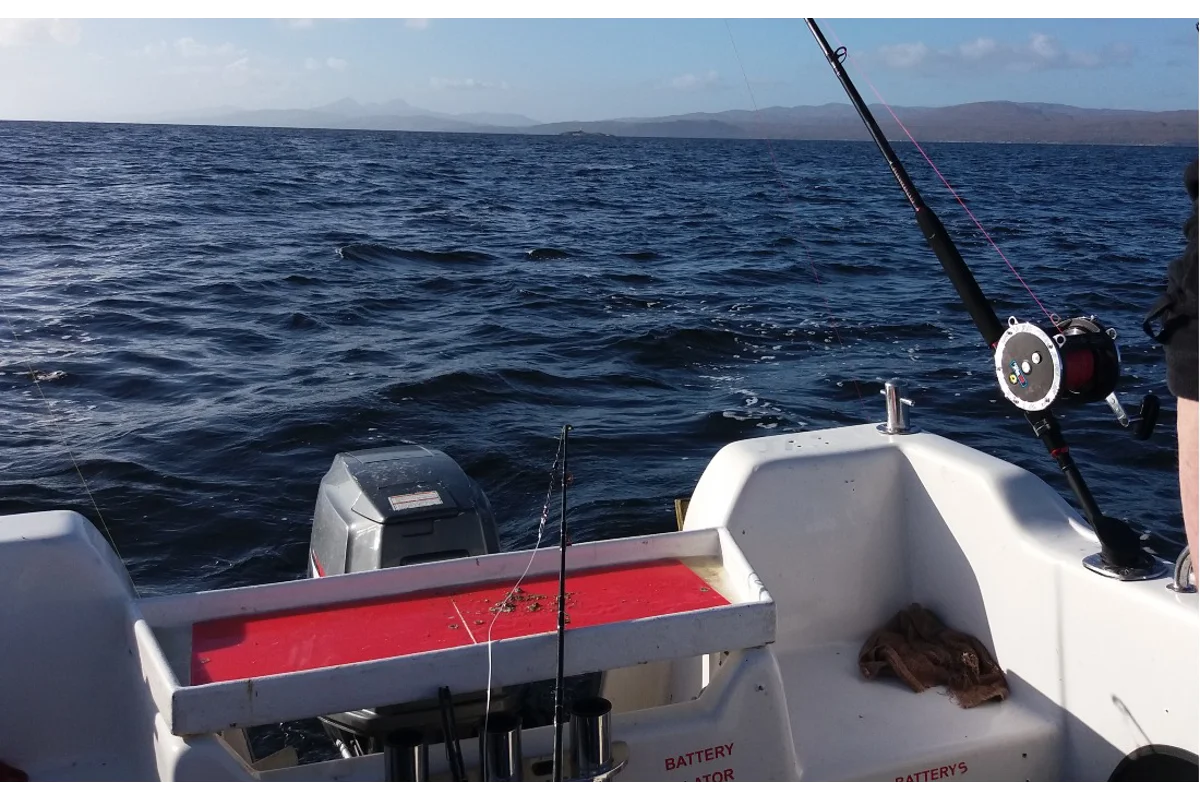 Sea rod and reel at the stern of a boat, with the coast behind
