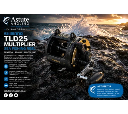 Shimano TLD25 Multiplier Sea Fishing Reel