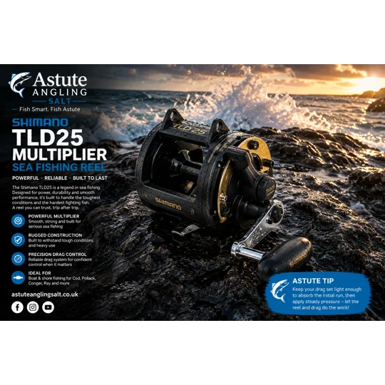 shimano-TLD25-multiplier-sea-fishing-reel