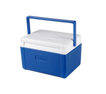 WSB Hard Skin Cool Box