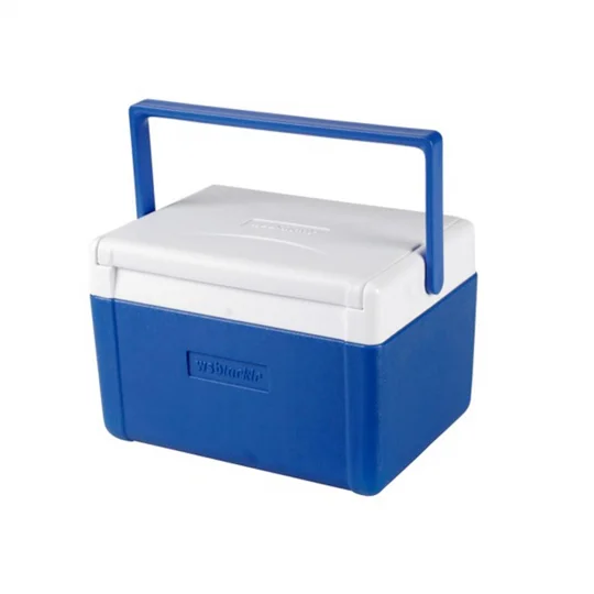 WSB Hard Skin Cool Box