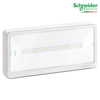 Ndriçues Emergjence Schneid Exiway Light - Standard, Kohëzgjatje e Zgjedhshme, 110lm,IP42,E Bardhë