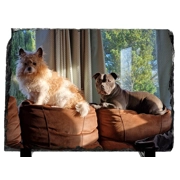 Stunning Photo Rock Slate